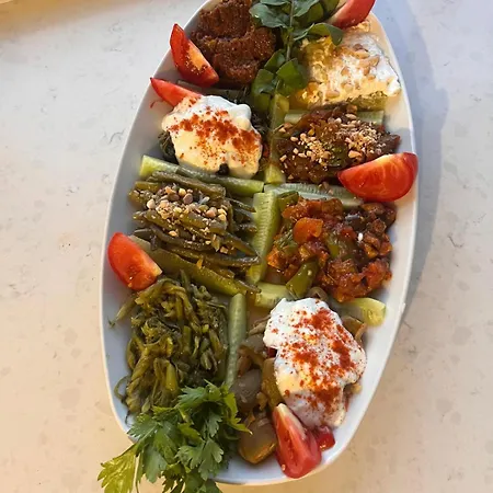 酒店 Liman Palamutbuekue 达特恰