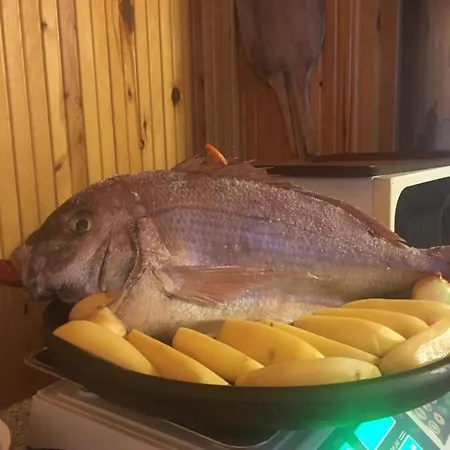 Liman Palamutbükü *
