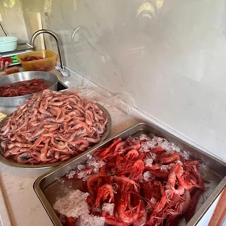 Liman Palamutbuekue 酒店 达特恰